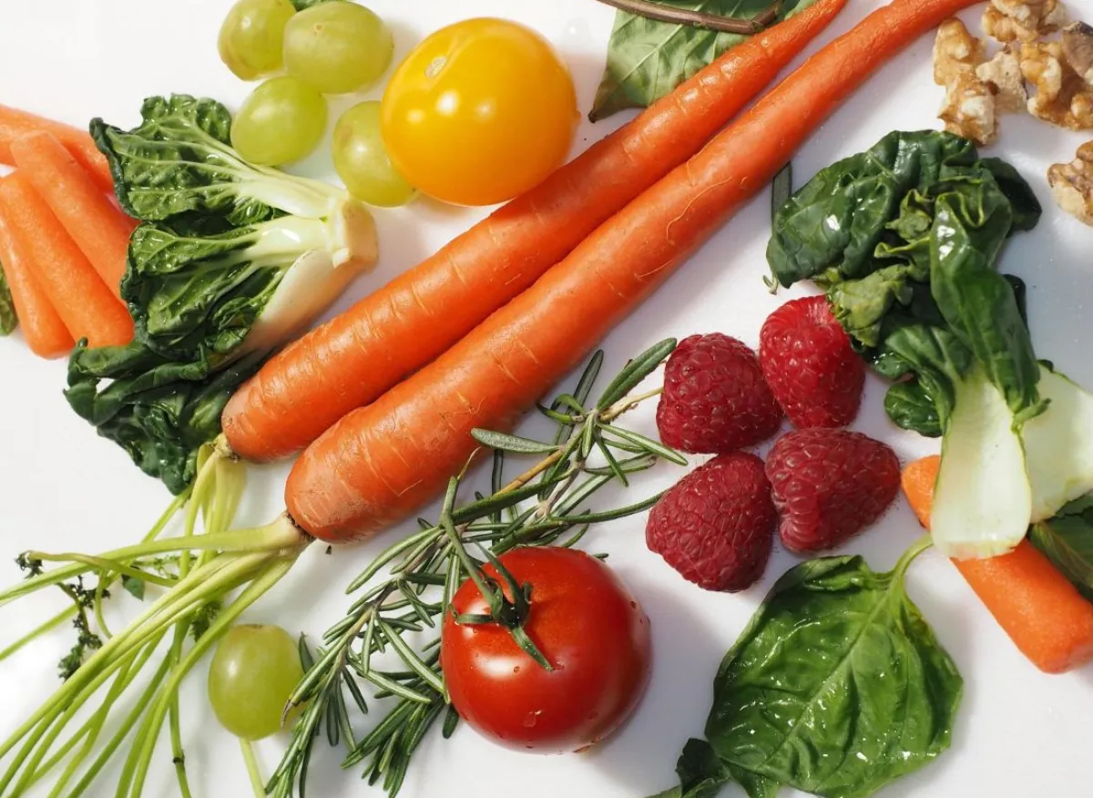 Alimentation
